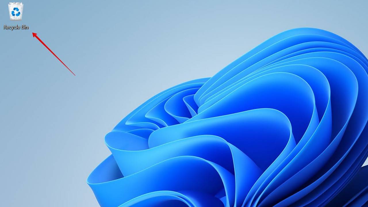 The Windows 11 Recycle Bin.