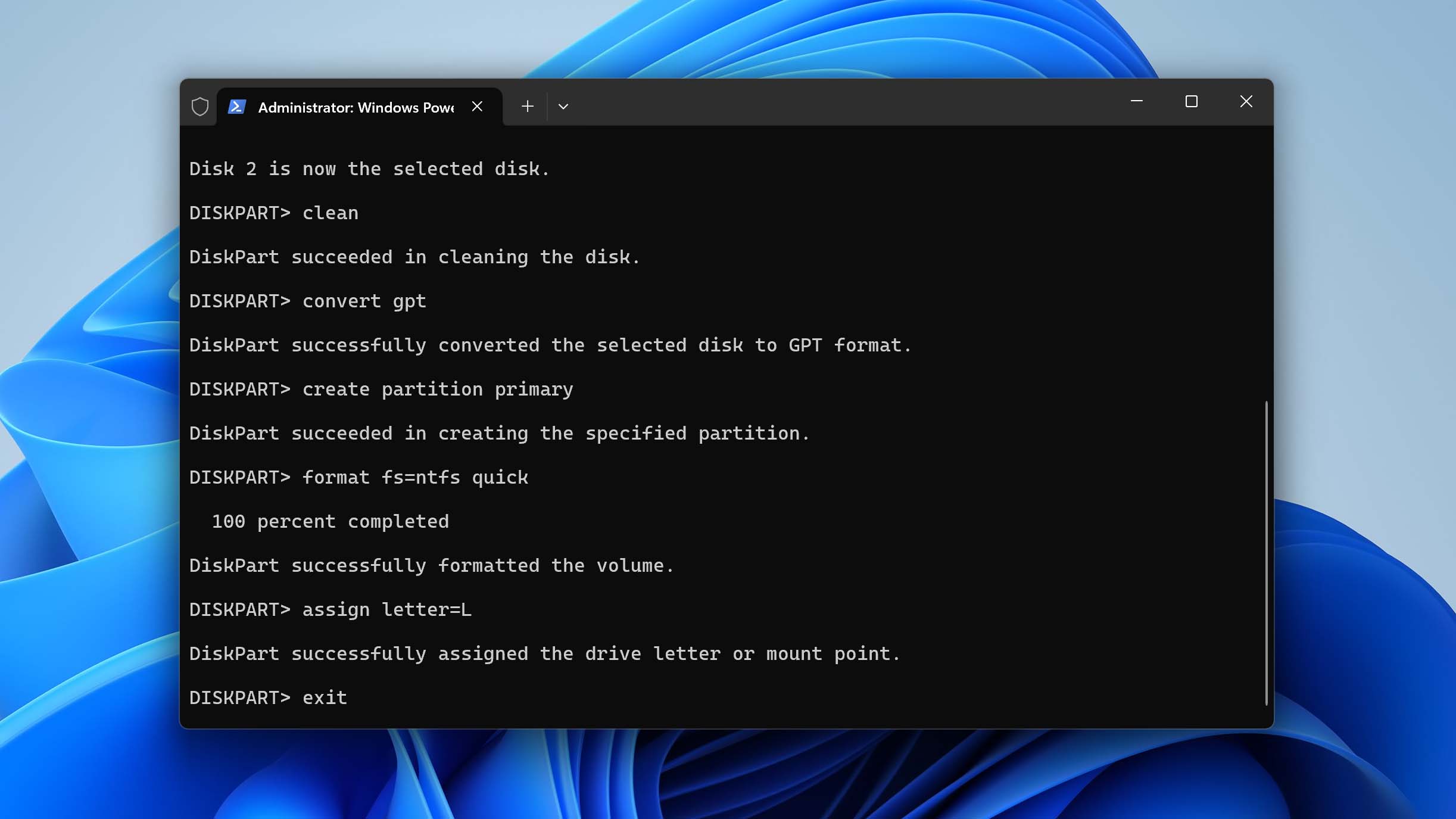 initialize disk in dsikpart