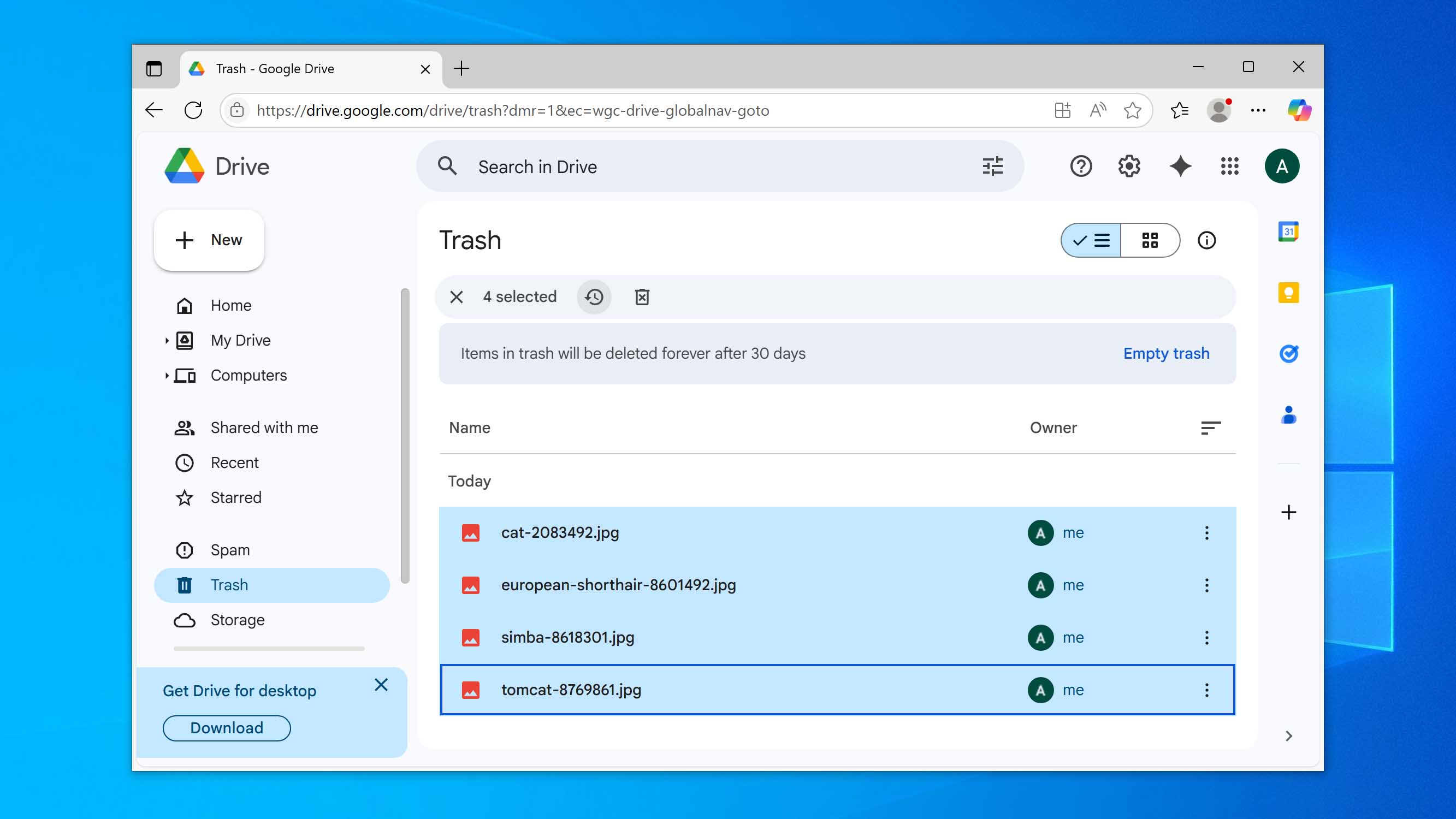 restore files from google drive trash