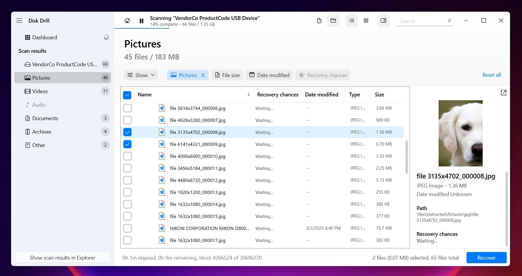 Disk Drill shows a live preview on the right side