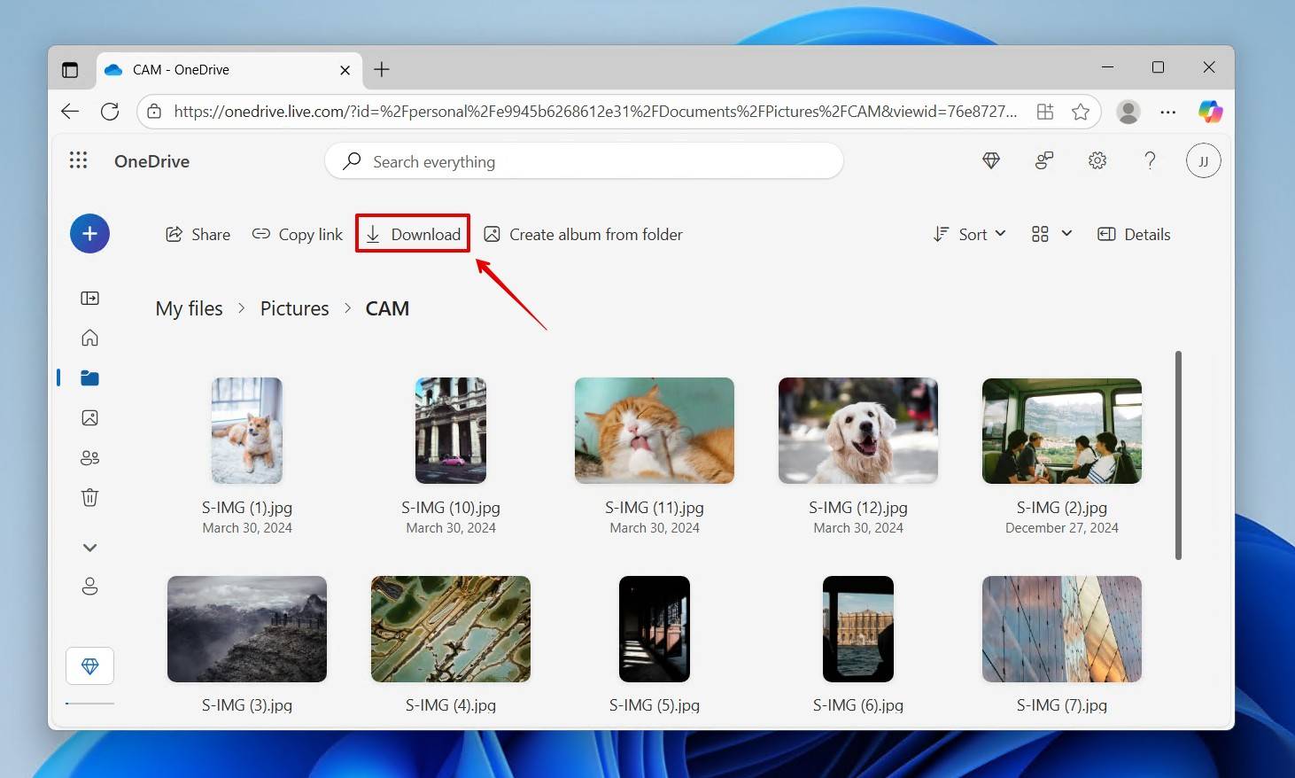 Downloading the OneDrive files.