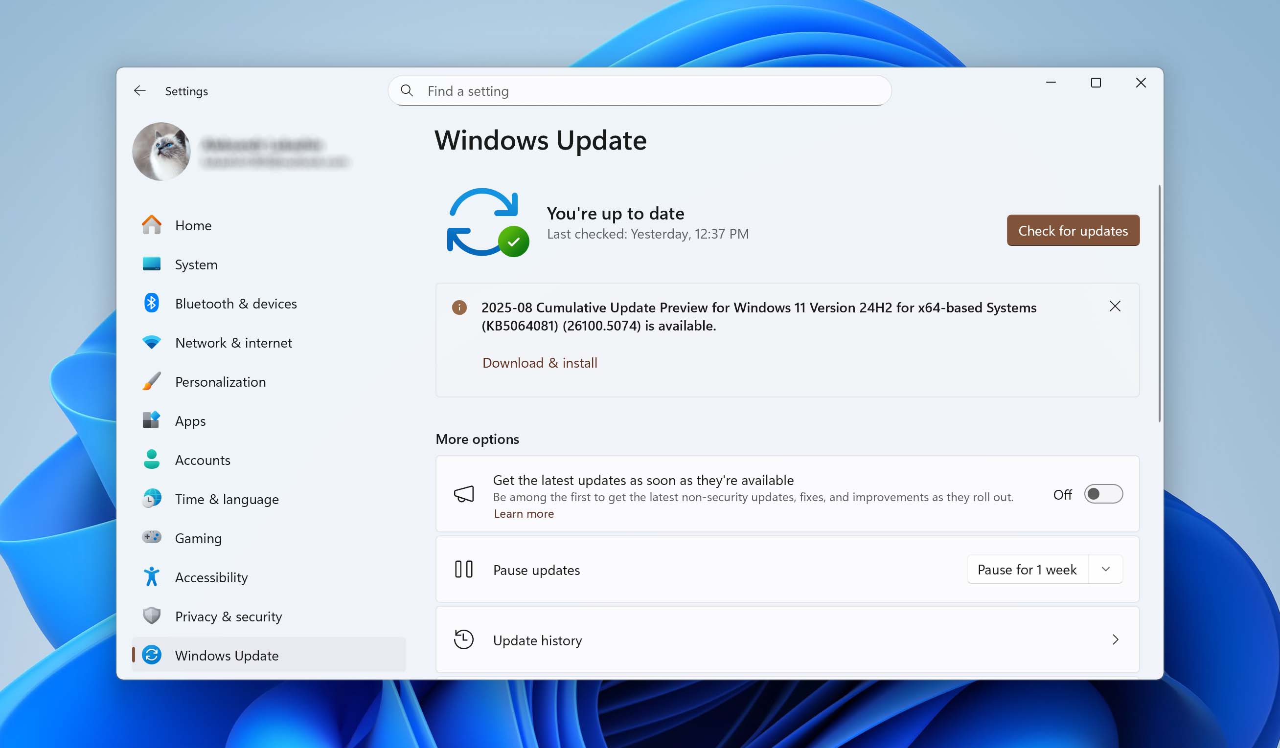install windows updates