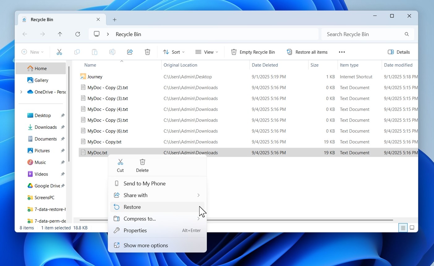 restore txt file from recycle bin