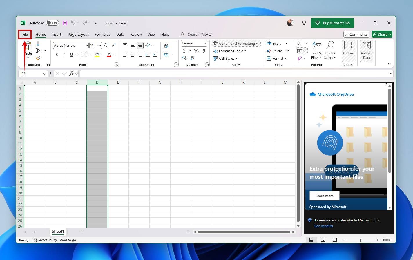 The Excel File menu.