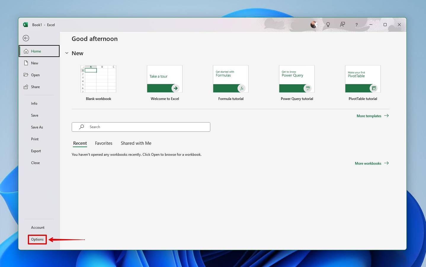 The Excel Options menu.