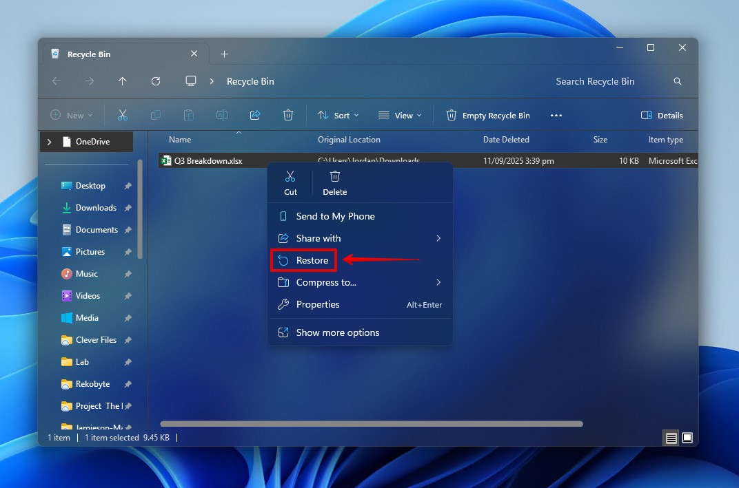 The Windows Recycle Bin.