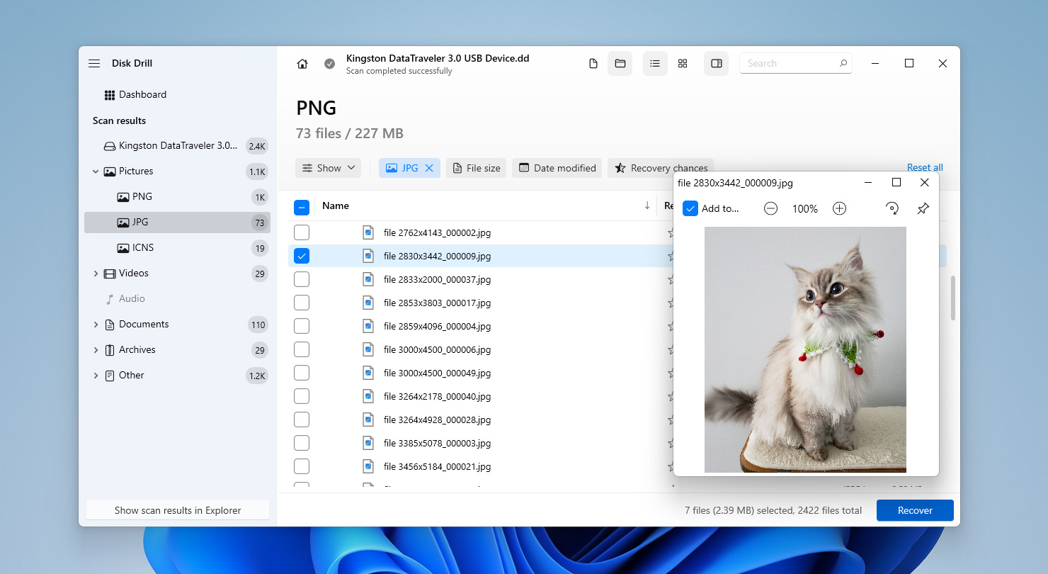 preview files before recovery