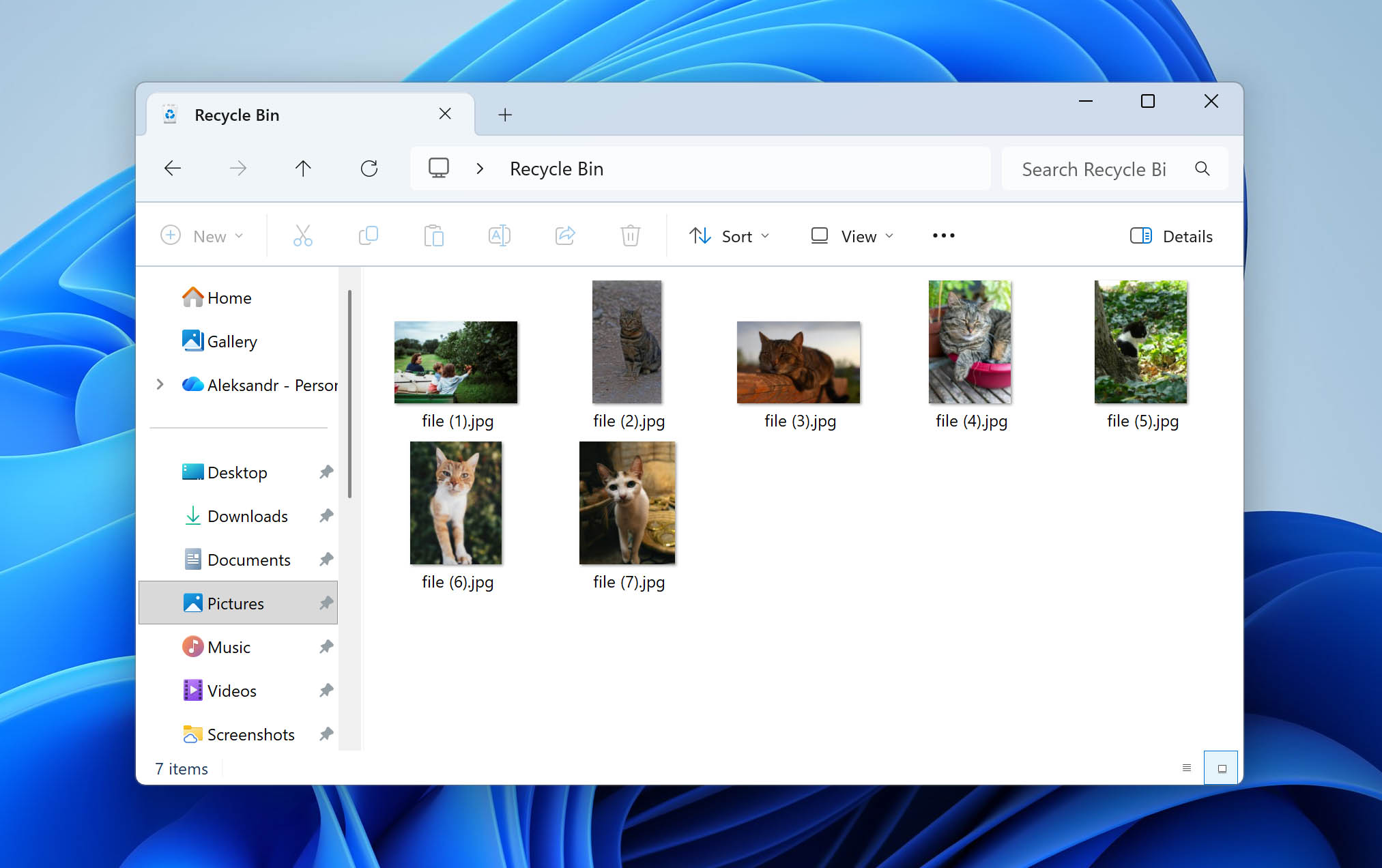 check files in recycle bin