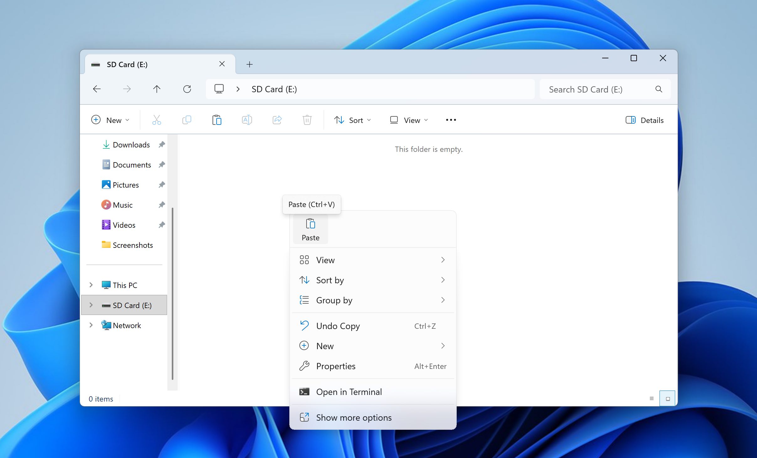 paste files to sd card
