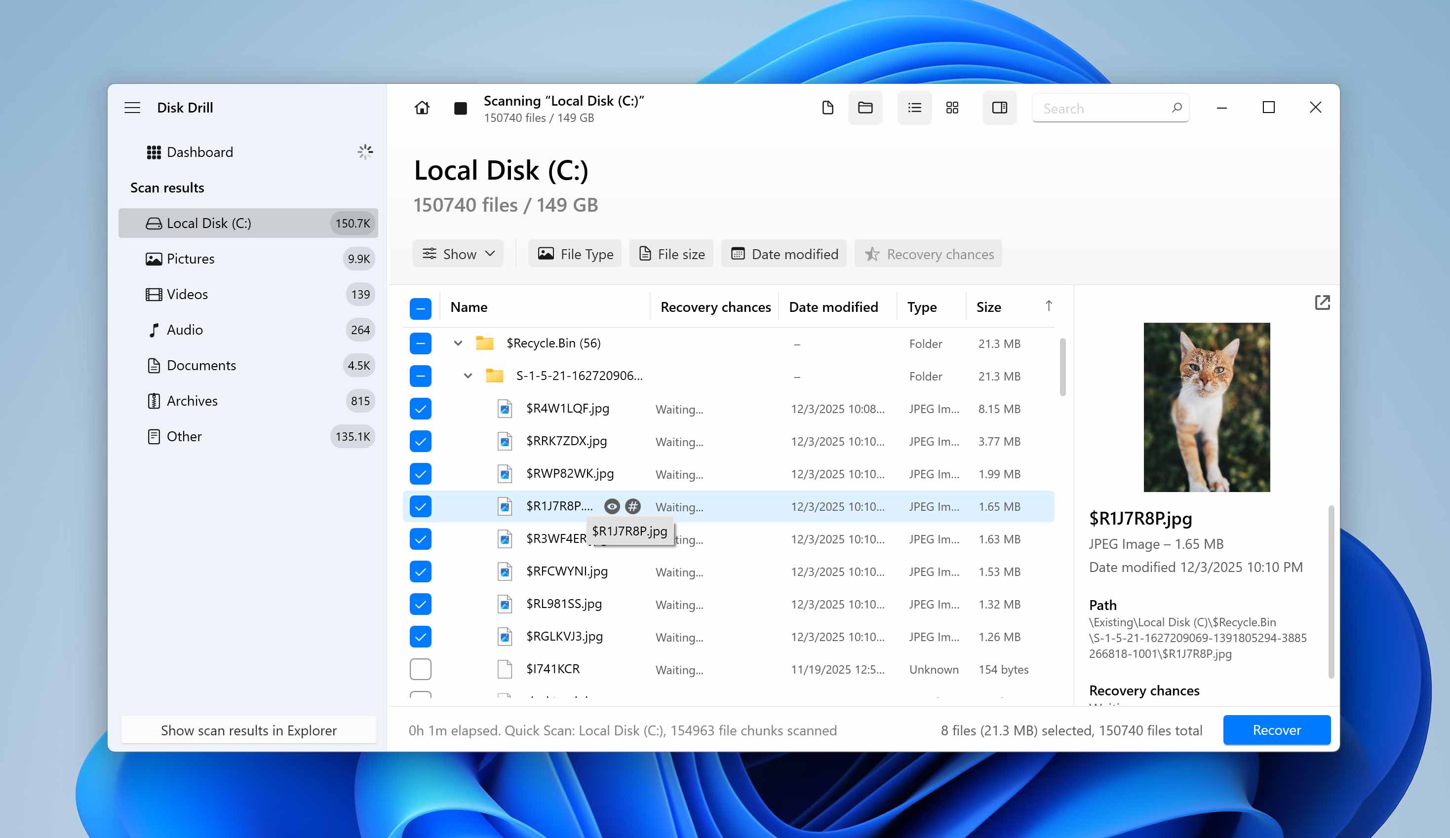 preview and select files for recover