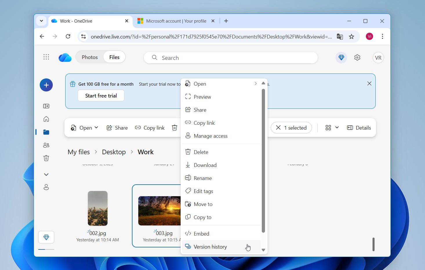 OneDrive version history