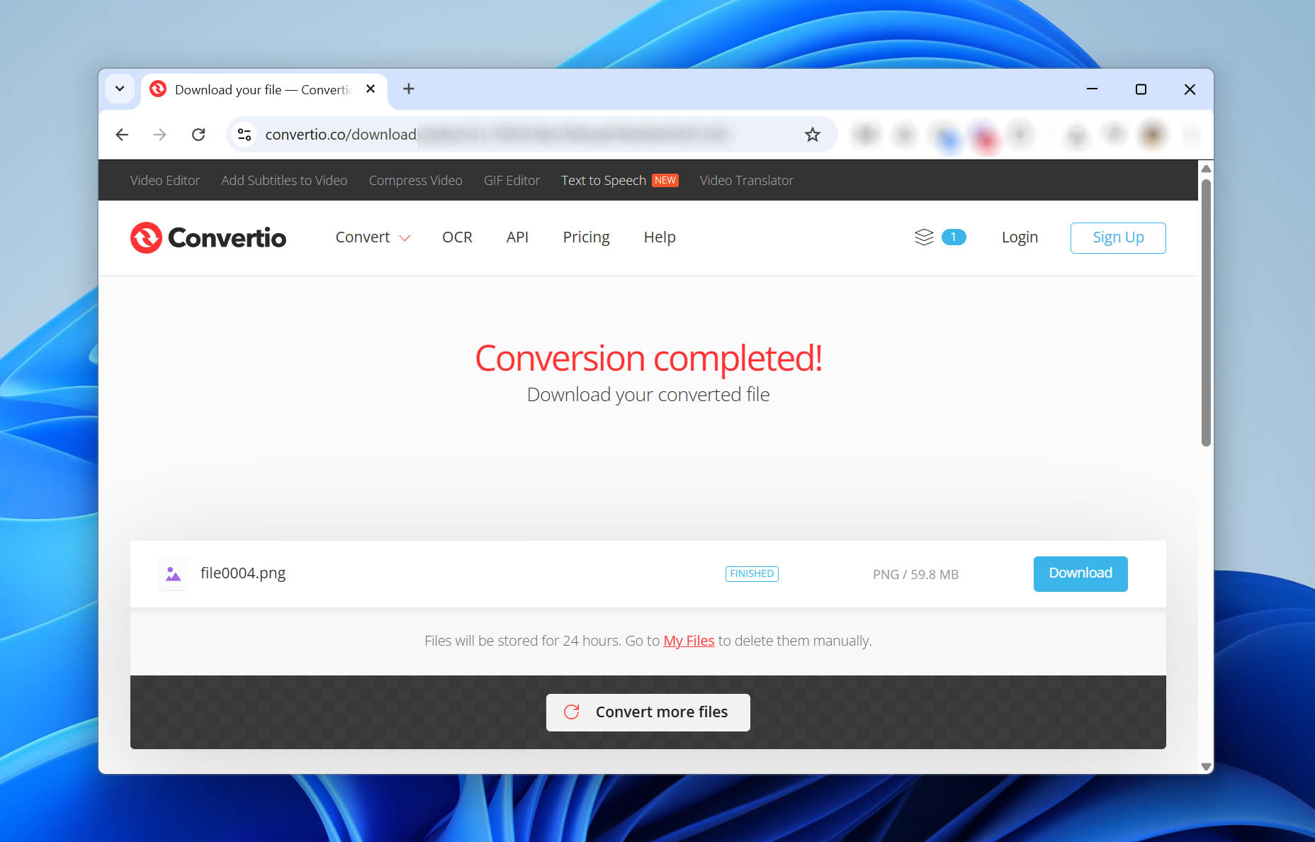 success converted nef file to png format