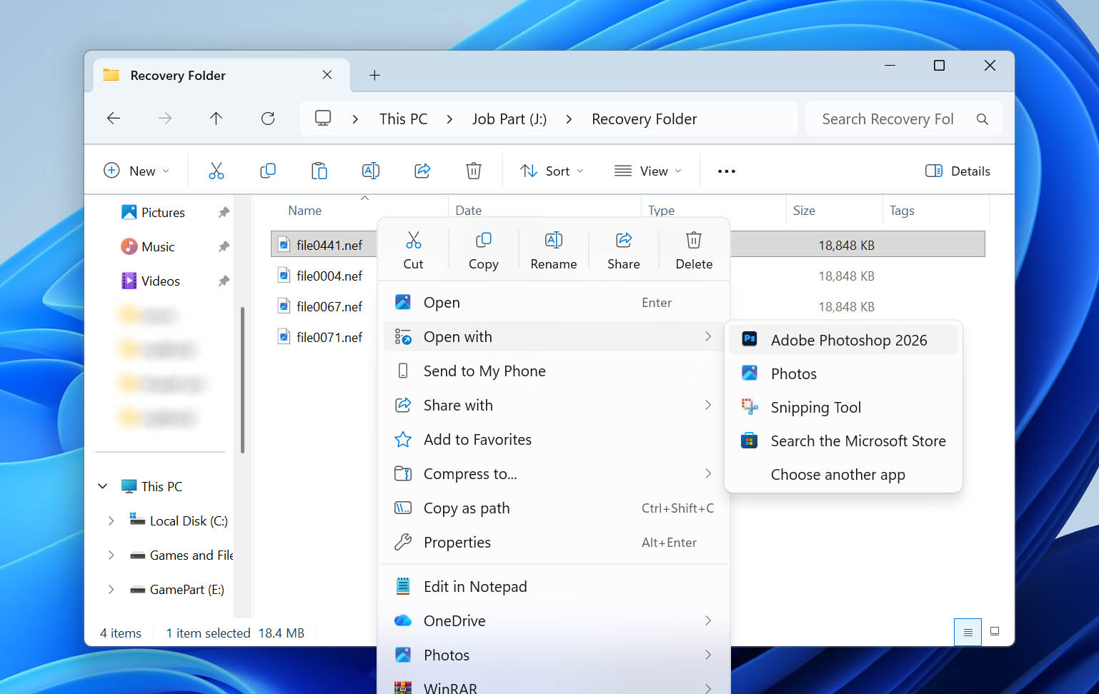 open nef file with another program