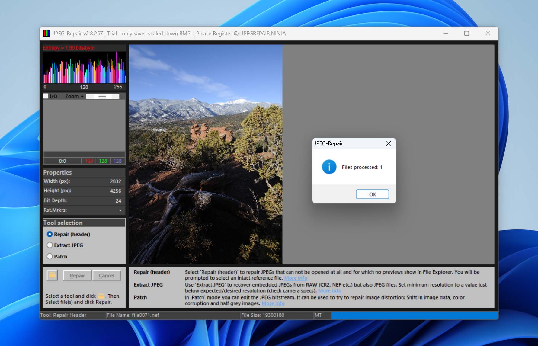 repair nef file in jpgrepair tool