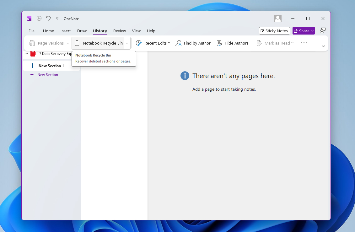 open notebook recycle bin win