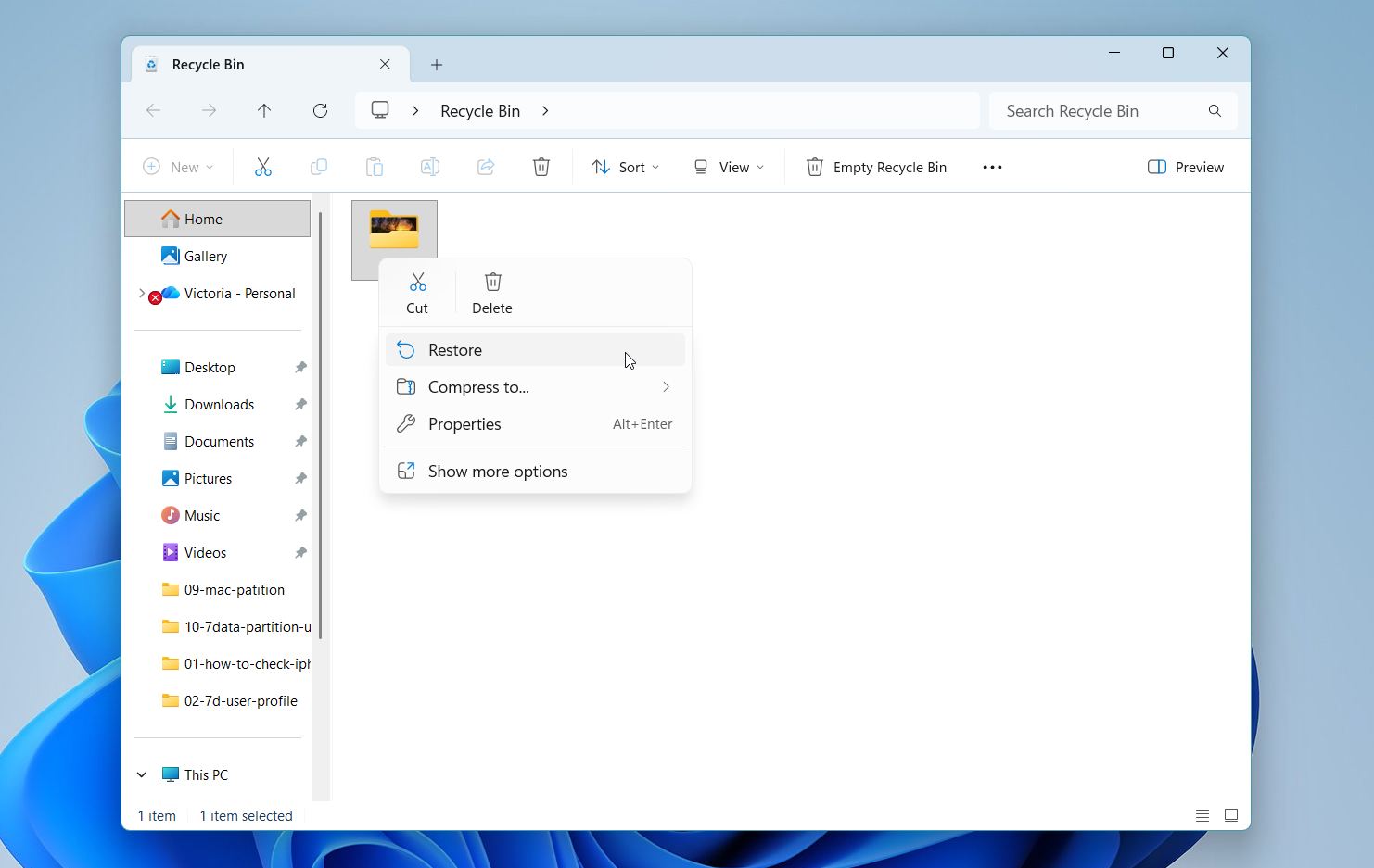 Recover files from the Recycle Bin