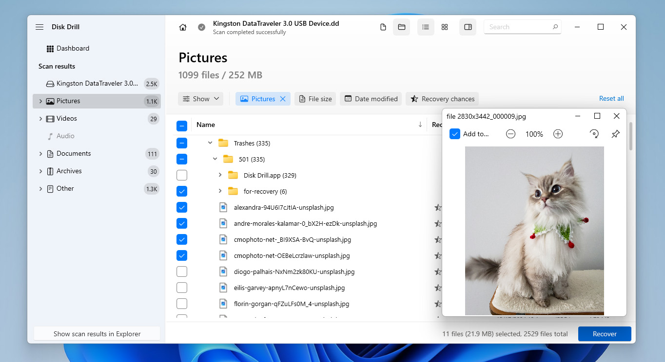 select files for recovery