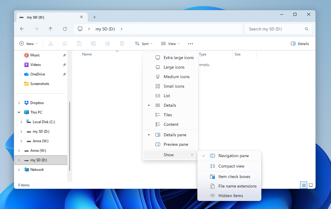 check hidden files windows