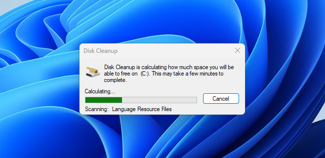 wait disk clean up process 
