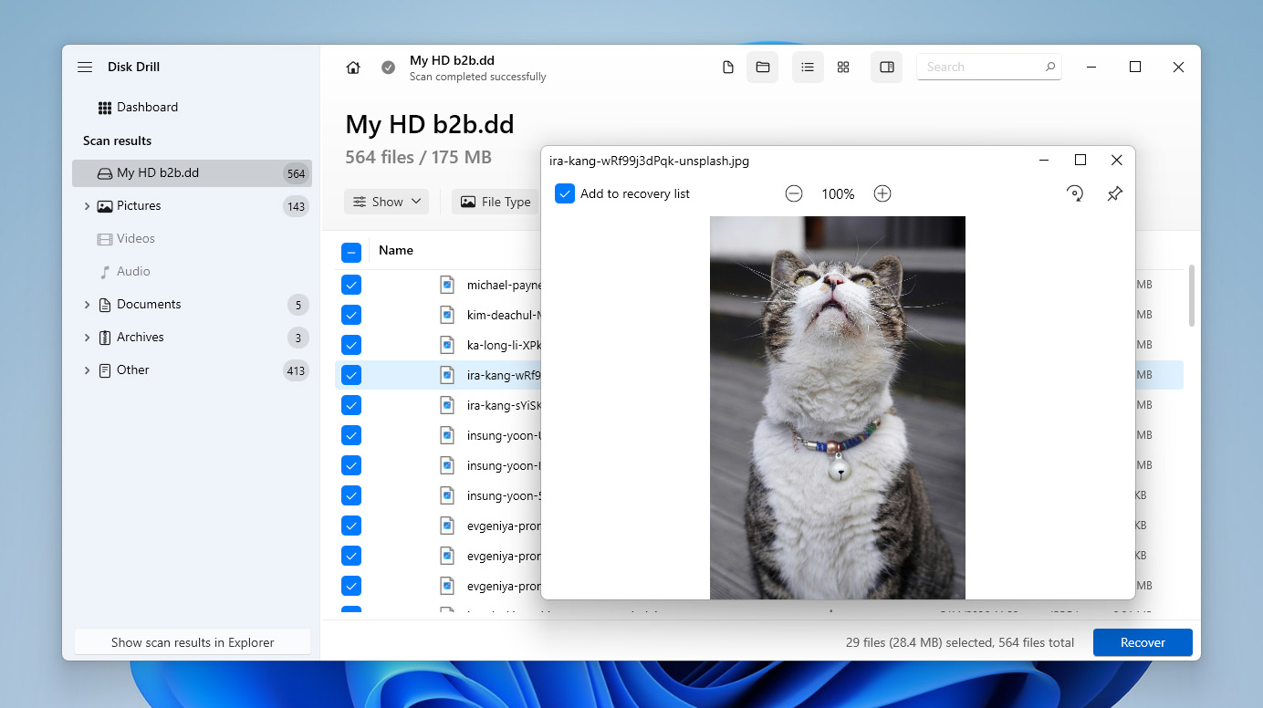 preview and select files for recovery