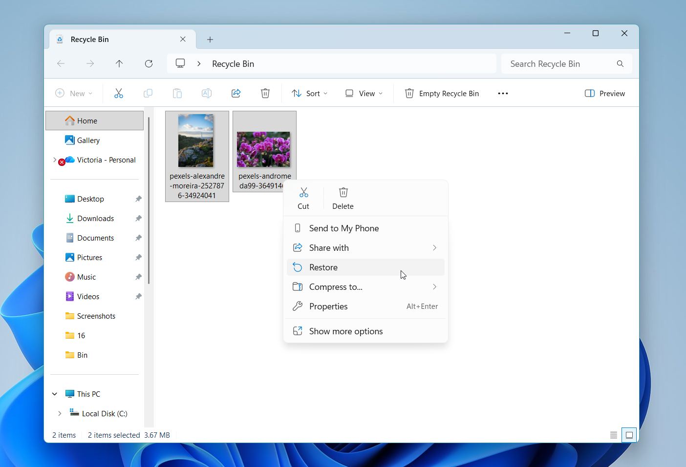 Recover files From the Recycle Bin