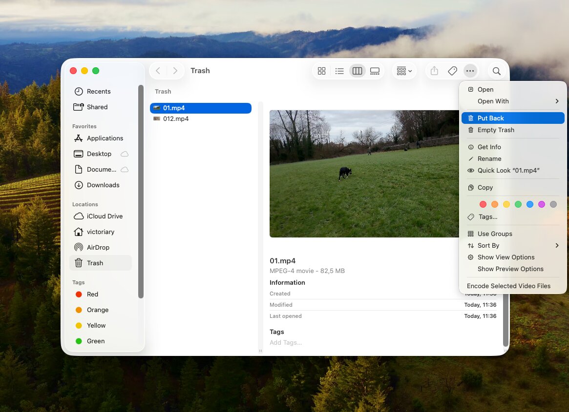 Recover files from Trash on Mac
