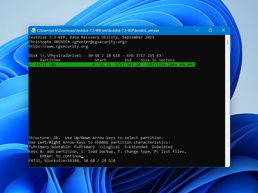 Test Disk confirm partition