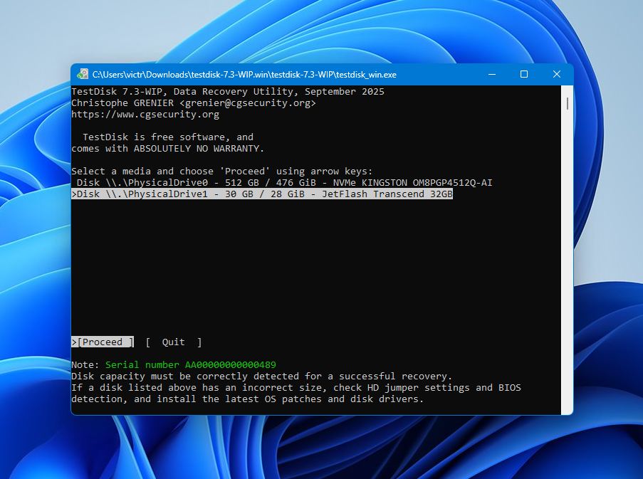 Test Disk select raw drive